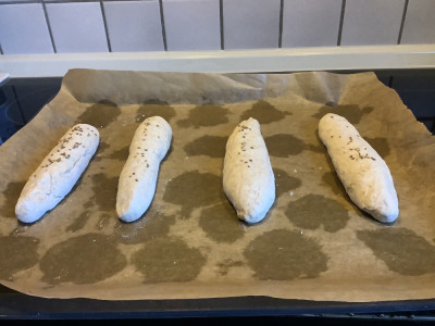 IMG_0453.jpeg