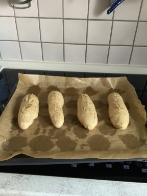IMG_0456.jpeg