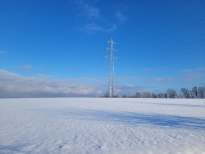 20250110_142253.jpg