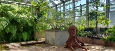 20240730_115434.jpg