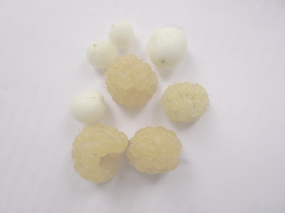 Schneebeere-und-Himbeere-.jpg