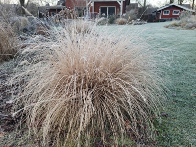20250113_084457.jpg