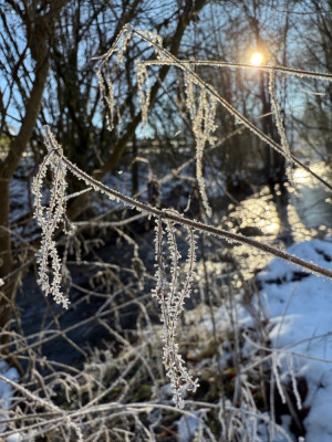 IMG_2744.jpeg