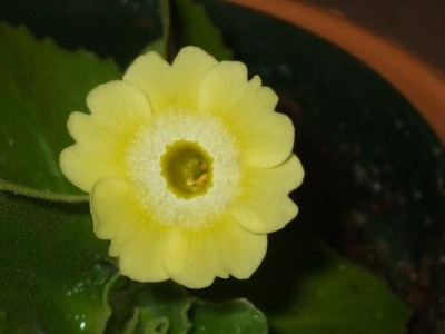 DSCF1724.JPG