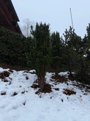 IMG_3078.jpeg