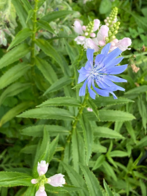 IMG_3808.jpeg