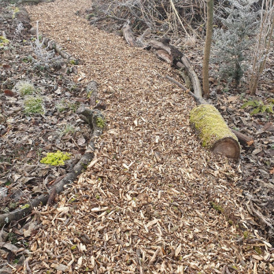 20250118_104036.jpg