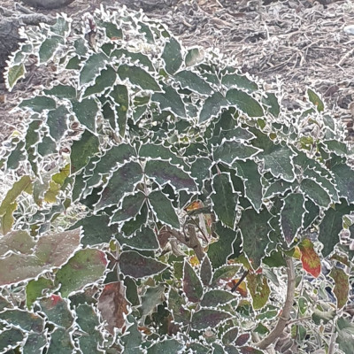 20250118_092700.jpg