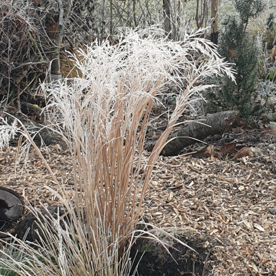 20250118_092452.jpg