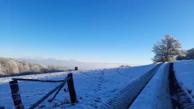 IMG-20250118-WA0003.jpeg