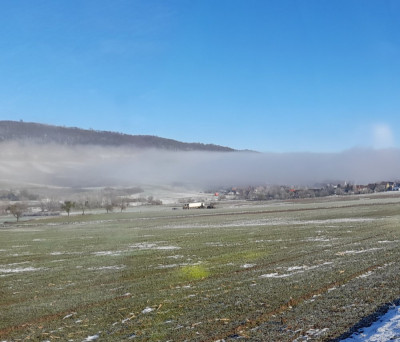 20250118_122215.jpg