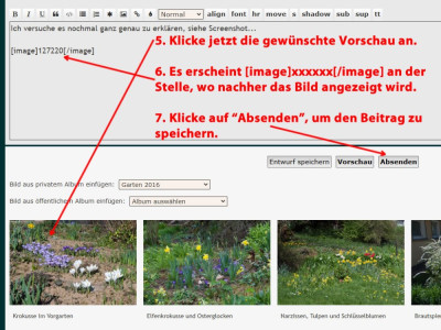 Bild_einfuegen_3.jpg