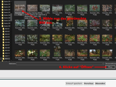 Bild_einfuegen_5.jpg