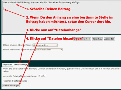 Bild_einfuegen_4.jpg