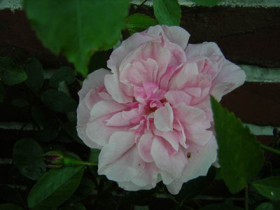 1DSCN1643.JPG