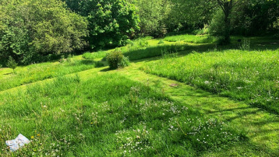 IMG_1396.jpeg
