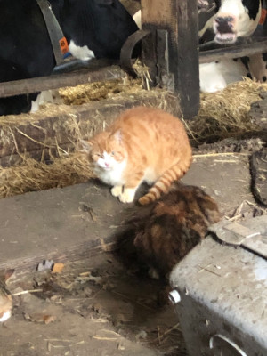 IMG_9615.jpeg