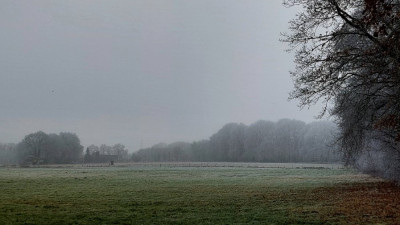 20250119_150231.jpg