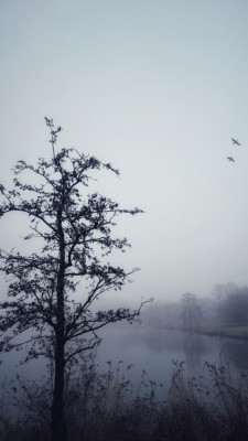 IMG_3683.jpeg