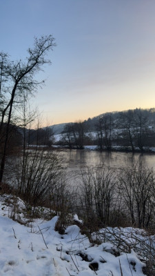 IMG_3717.jpeg