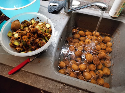 Kiwi putzen.jpeg