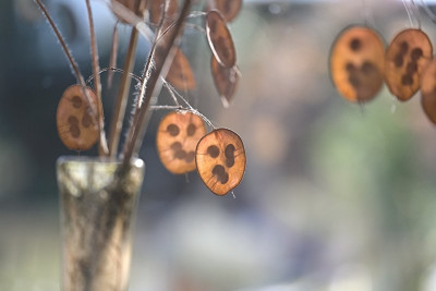 was-vom-Sommer-bleibt-Jan2125_020.jpg