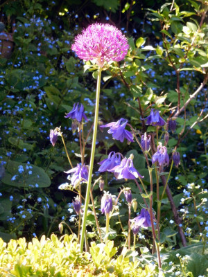 DSCN0571.JPG