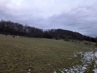 20250123_163001.jpg