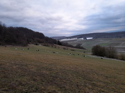20250123_160616.jpg