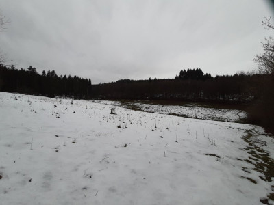 20250124_162333.jpg