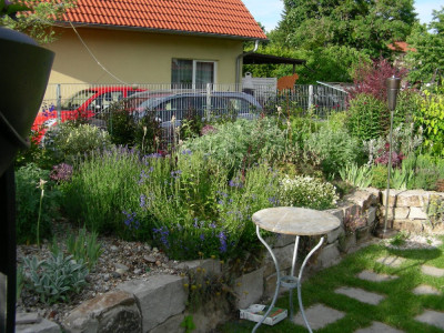 Anfang Juni 12 (10).JPG