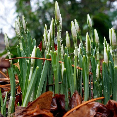 20250125_120122.jpg