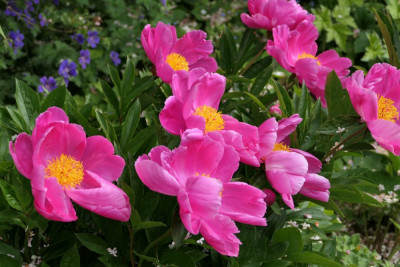 P1000343.JPG