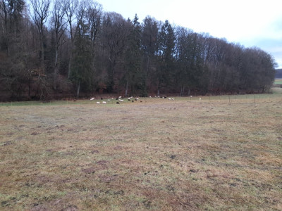 20250126_091146.jpg