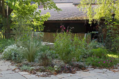 macranthas-Garten-Sept08-01.jpg