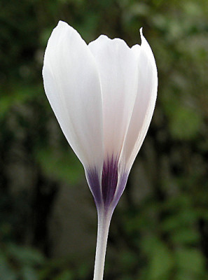 Image4_uu.jpg
