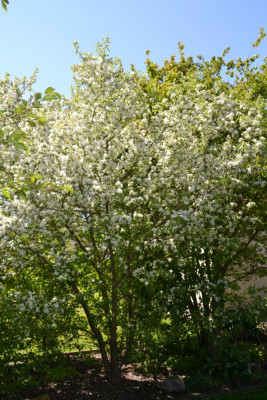 DSC_0076.JPG