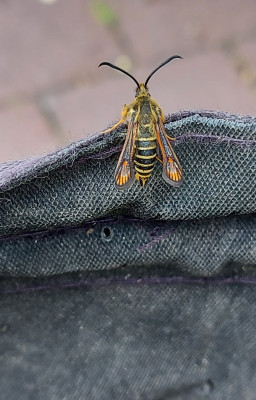 20250128_191543.jpg
