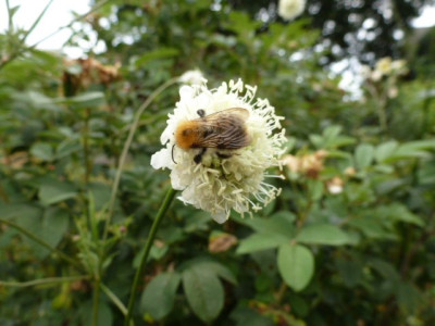 P1250945.JPG