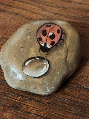 8.25 Ladybug.jpg