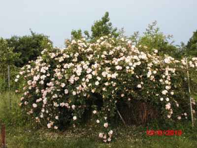DSCI0018.JPG