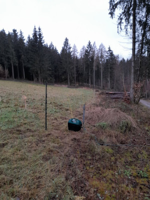 20250130_085630.jpg