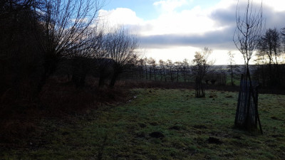 IMG-20250131-WA0009.jpeg