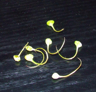 DSCF14873.JPG