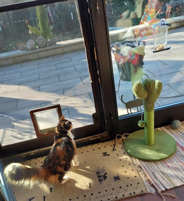 Uiii, Terrasse, Sonne, alles verriegelt