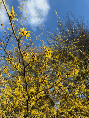 IMG_4515.jpeg
