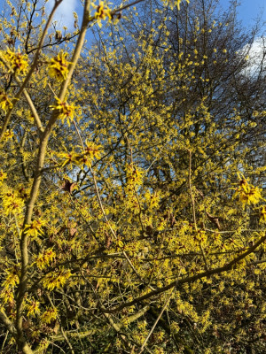 IMG_4511.jpeg