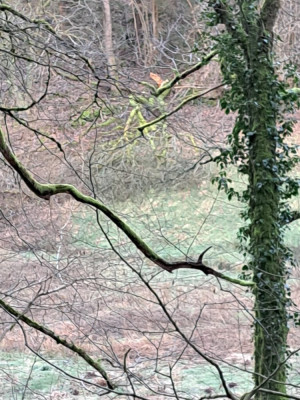 IMG-20250201-WA0007.jpg