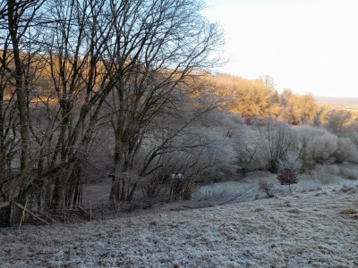 20250202_090147.jpg