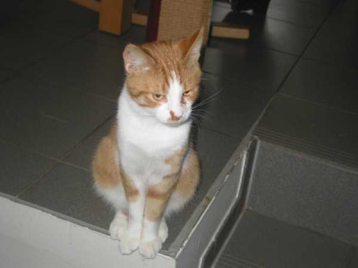 Toni_Okt._08.jpg